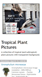 Mobile Screenshot of plants.swtexture.com